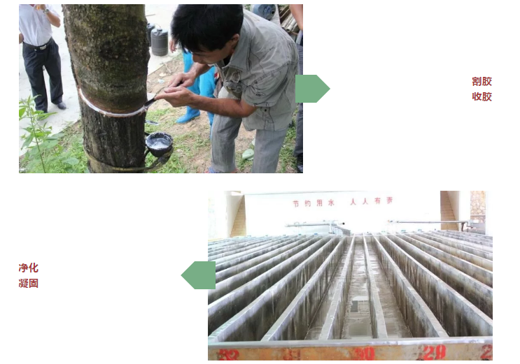 天然橡胶进口申报注意事项