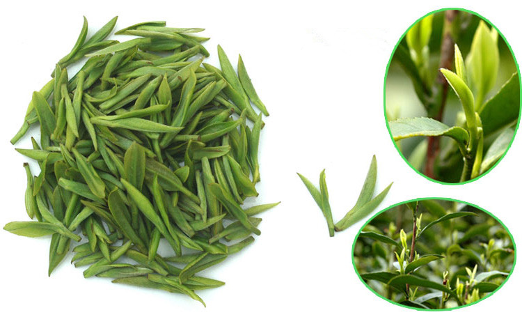 【动植物检疫】茶叶出口通关秘籍